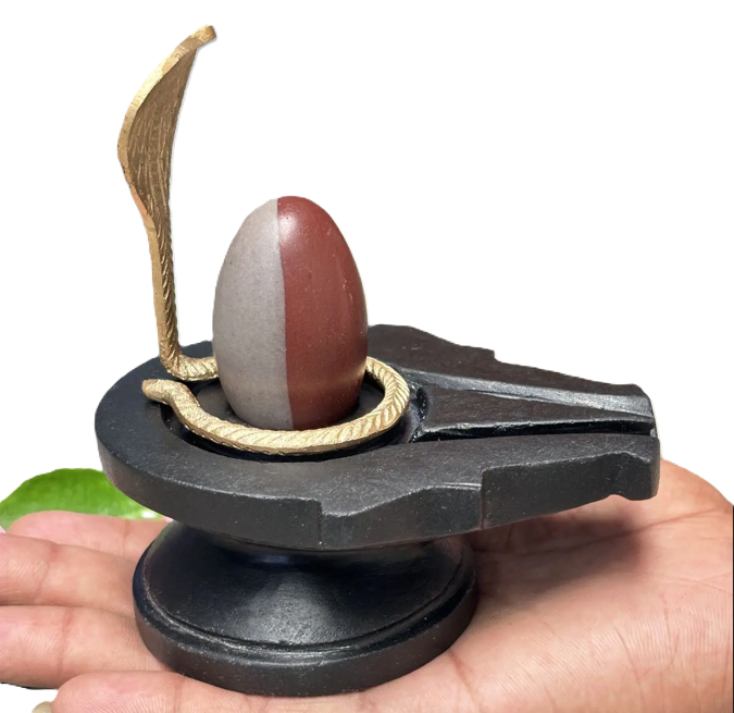 Buy Ardhanareshwar Narmadeshwar Shivling Online Banalingam for Home buy