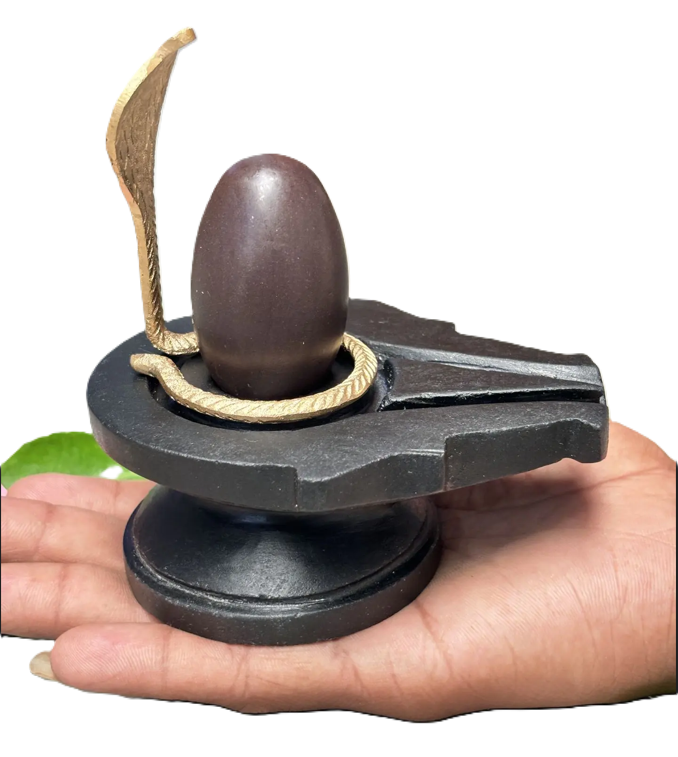 Buy Original Swayambhu Narmadeshwar Shivling Banalingam for Home buy
